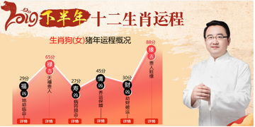 2019下半年生肖狗运程预报 女命篇