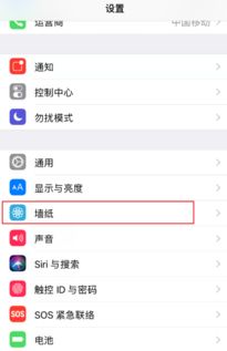 将抖音视频设置为iPhone动态壁纸操作步骤