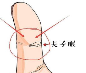 小指过三关,人逢绝处也能生,必定有大出息的手相