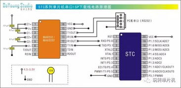 STC中本聪岛建设情况