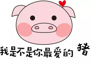 大家好,我是来自重庆的荣昌猪 