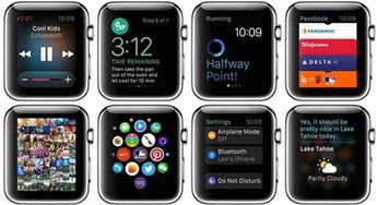 PP助手 黑客盯上Apple Watch越狱 你最期待哪些功能 