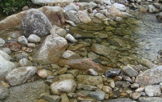 梦见河里的石头