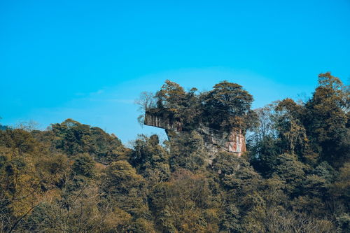 邛崃天台山攻略游戏(邛崃天台山游玩攻略)