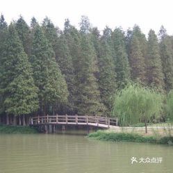 电话 地址 价格 营业时间 星湖国际广场景点团购 肇庆周边游 