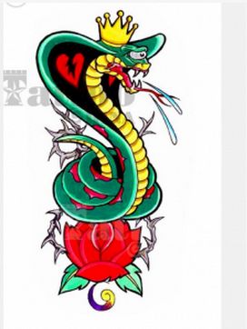 蛇在中国的寓意，摩羯座蛇图案寓意(属蛇的摩羯座的幸运宝石)