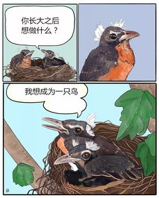 漫画 动物讲述的有趣故事 