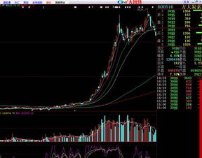 股票成功投资的关键因素是什么？