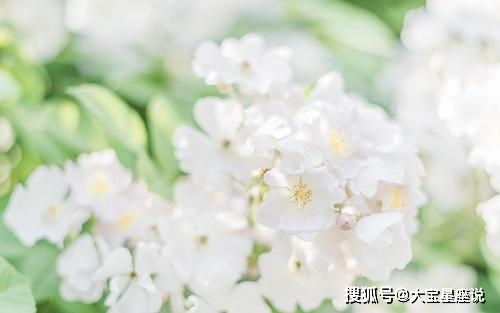 3月中旬,阅尽千帆,再次遇见旧爱的星座 将坠欢重拾,爱情重来