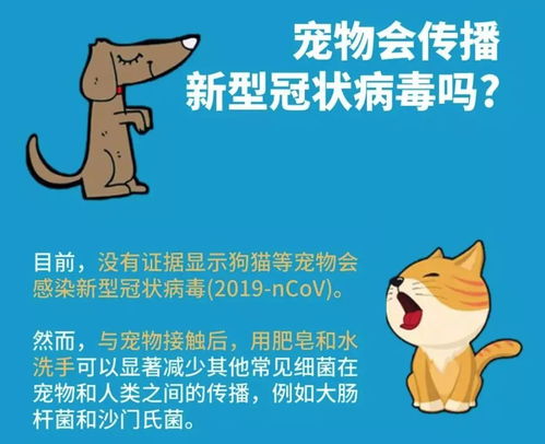 新型冠状病毒防控指南