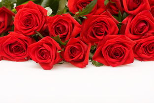 8朵玫瑰适合送什么人 男人送8朵玫瑰花语