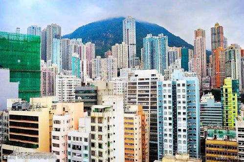 全球高楼密度最高的城市 高空中看香港摩天大楼 
