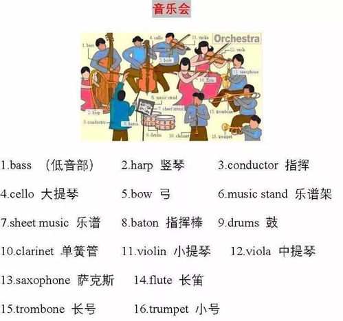 34张图 日常生活中的所有英语单词 太有用了