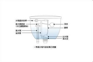 抽水马桶的水箱是什么 