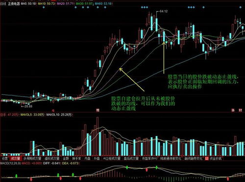 002461股票（002461股票历史行情） 第1张