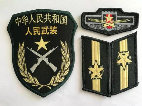 07式预备役军衔肩章 