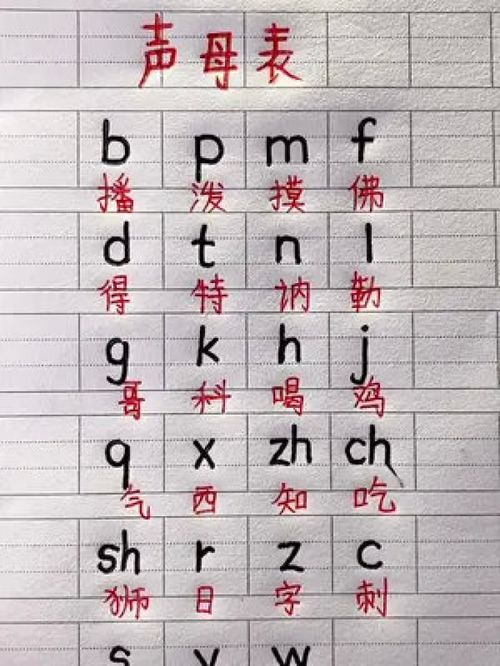 汉语拼音声母表,一起来学习一下 小学生 一年级 知识点总结 幼小衔接 语文 