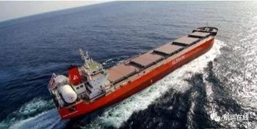 全球最大LNG动力散货船命名 