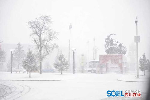 四川阿坝州多地迎来大雪天气 银装素裹令人赞 