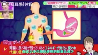 日本疯传的减肥饮食大法,竟然是随便吃 还能两星期腰围瘦9cm 