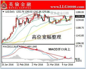 炒国际现货黄金和外汇相比，哪个风险和收益更高呢？