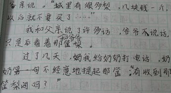 与你为邻初中作文700字