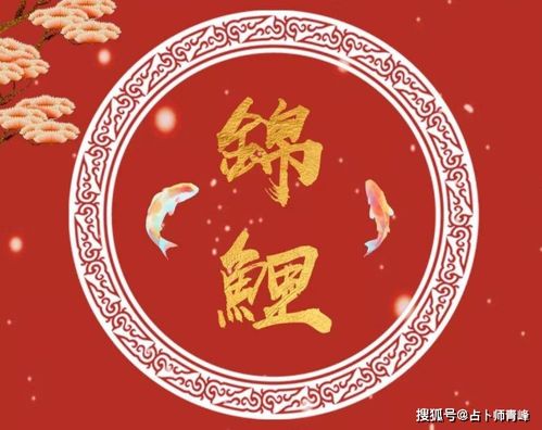 8月星运排行榜,白羊座强势崛起,狮子座锦鲤本鲤