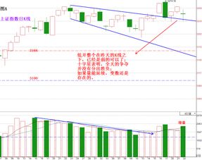 美国股市的“做空”某只股票是什么意思？