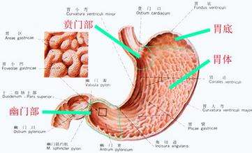 胃窦炎分为几种类型 
