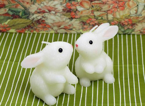 属兔的和属兔的婚姻怎么样 