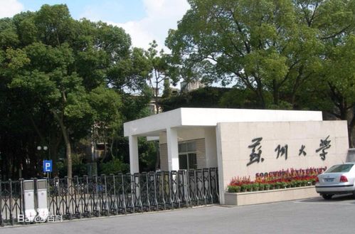 成绩中上等 就能上的985和211大学 高三家长和学生一定要看