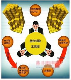 谁能告诉我关于基金转换的内容？