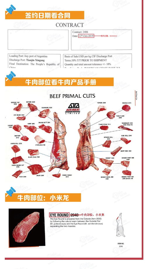 海关小知识丨进口牛肉怎样规范申报
