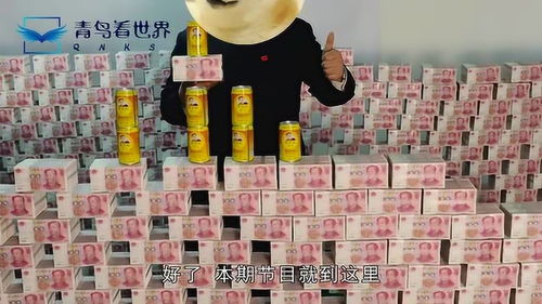 几亿现金怎么分配