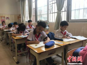 广州部分公办小学推行校内 课后托管 