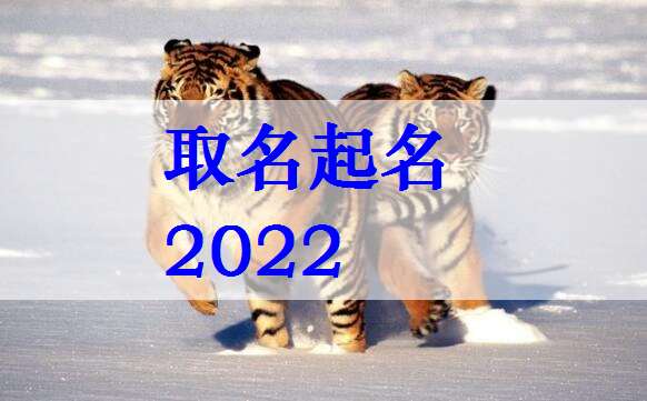 2022属虎的姓袁男宝宝取名起名