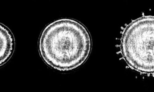 科学知识 水滴内部的冰波