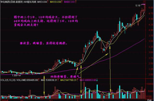 股票实时盯盘需要观察哪些数据，怎么看