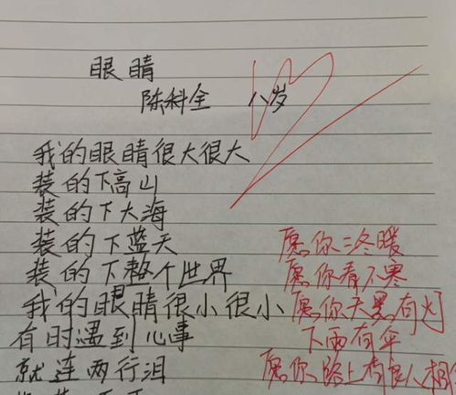 小学生满分作文 眼睛 火了,一共53个字,却表达得淋漓尽致