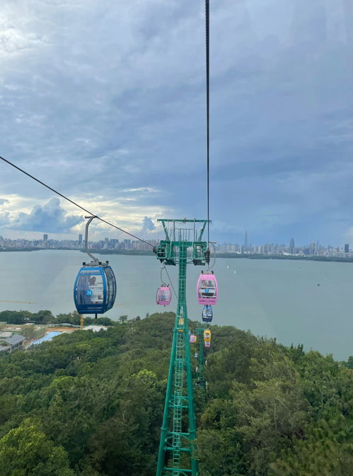 武汉东湖磨山景区 索道滑道摩天轮一条龙 