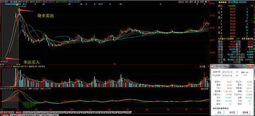 两市最绝望股民 炒股血亏全部家产50万,这辈子我还能不能翻身 