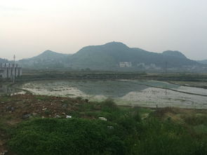 武当王氏风水 中国最权威看风水 风水大师 风水培训 风水学习班门户网 