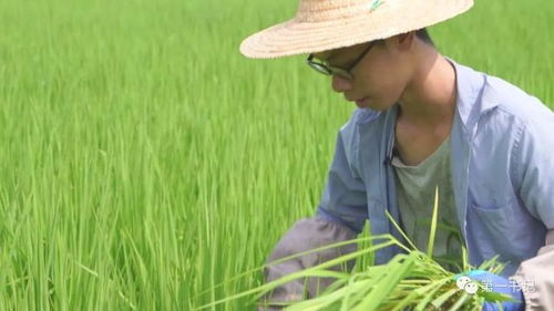 福彩情学子梦 助学公益行 用爱为梦插上翅膀......