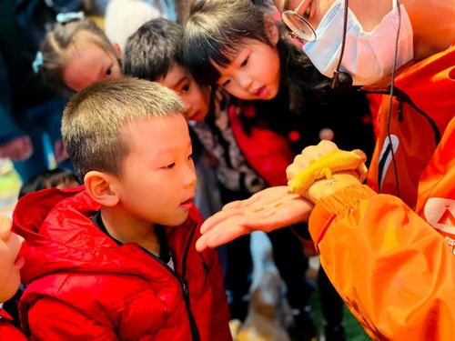 怎样选择搬家日子和时间