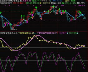 韶能股份这个股票怎么样？适合长线还是短期？