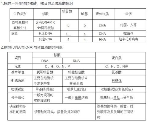 高中生物核酸知识点