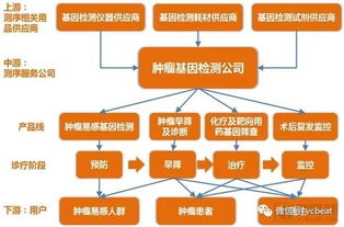 肿瘤基因检测行业研究报告 覆盖诊疗全流程,治疗已成刚需,早筛将有突破