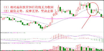 减少亏损必看 典型散户止损术 不是专家也能做到