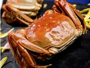 煮熟的螃蟹放在冰箱里最长可以冷冻多久就不能吃了 