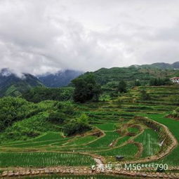 临安区指南山攻略,指南山门票 游玩攻略 地址 图片 门票价格 